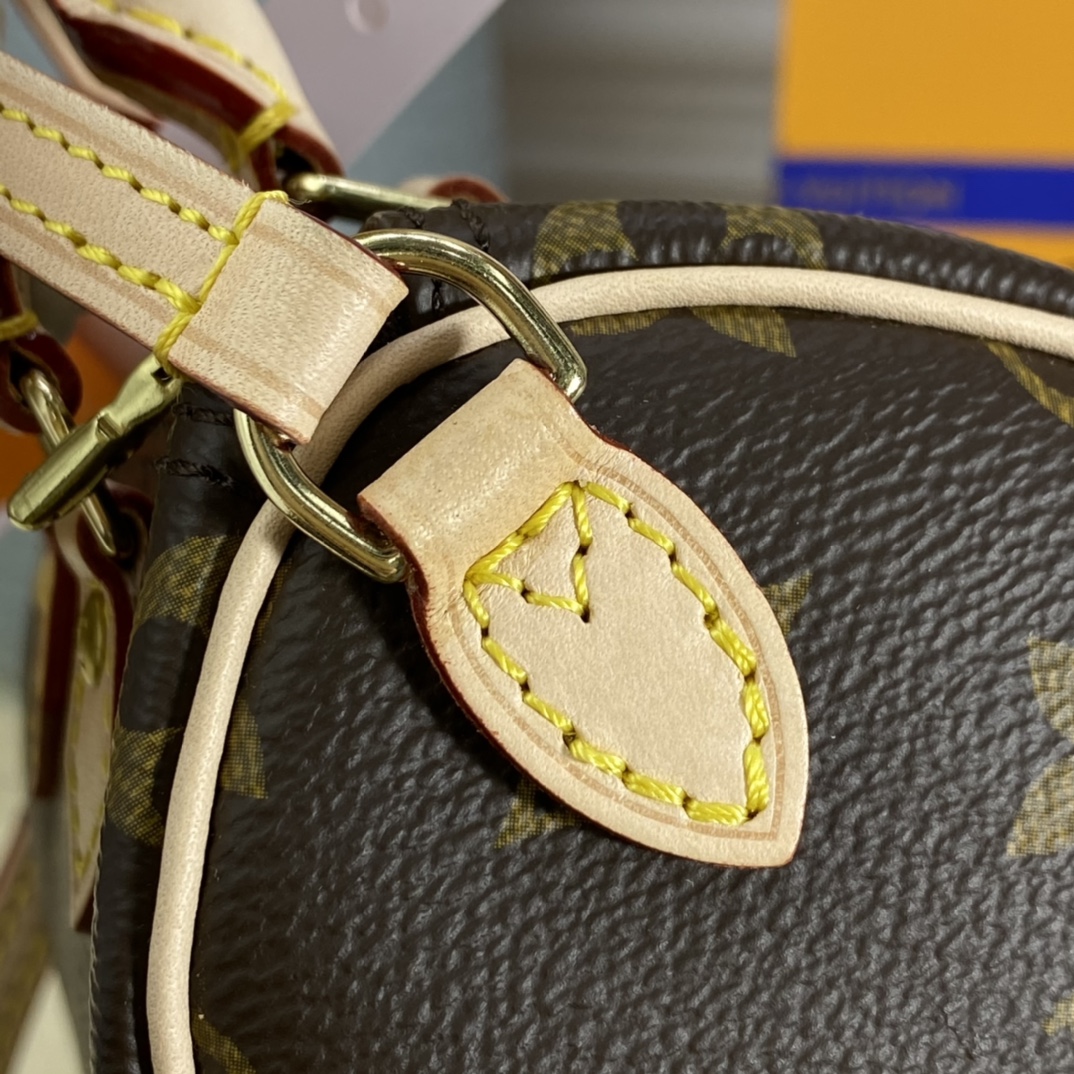 Louis Vuitton NANO SPEEDY Monogram Handbag M61252 